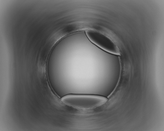 X0000110671281200906191338