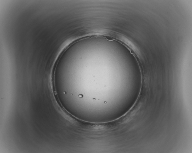 X0000110671283200906191338