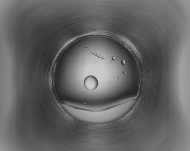 X0000110671284200906191338