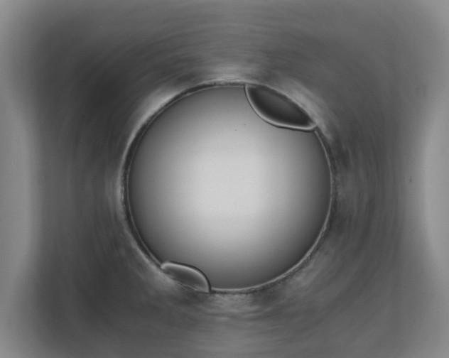 X0000110671285200906191338
