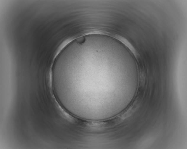 X0000110671290200906191337