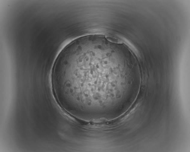 X0000110671291200906191337