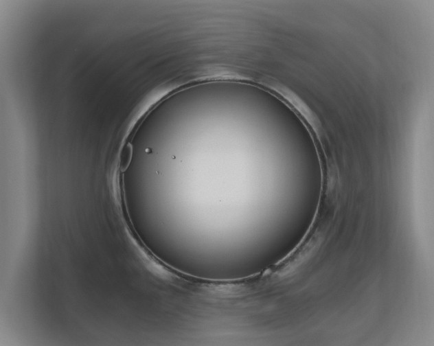 X0000110671293200906191337