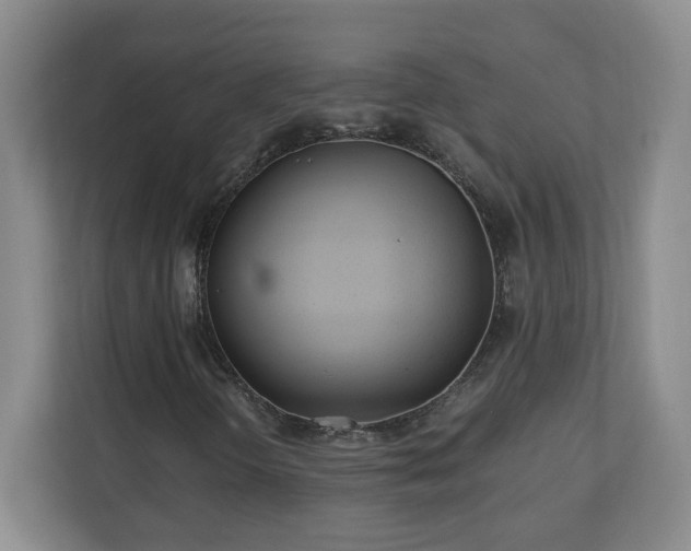 X0000110671298200906191337