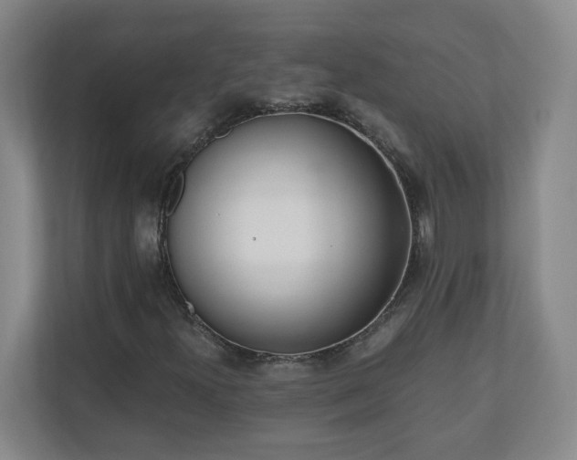 X0000110671300200906191337