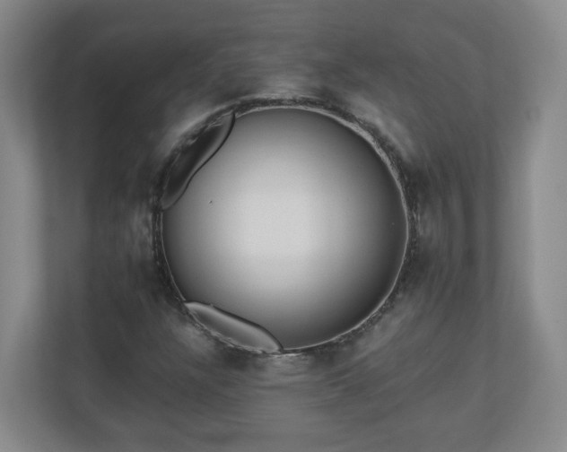X0000110671304200906191337