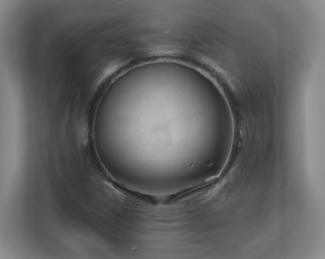 X0000110671306200906191337
