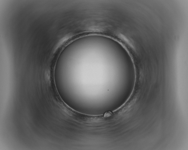 X0000110671307200906191337