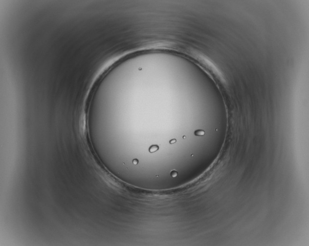 X0000110671324200906191337