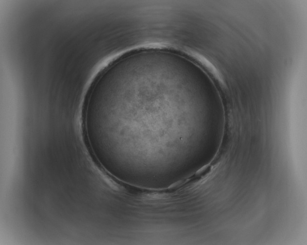 X0000110671327200906191337