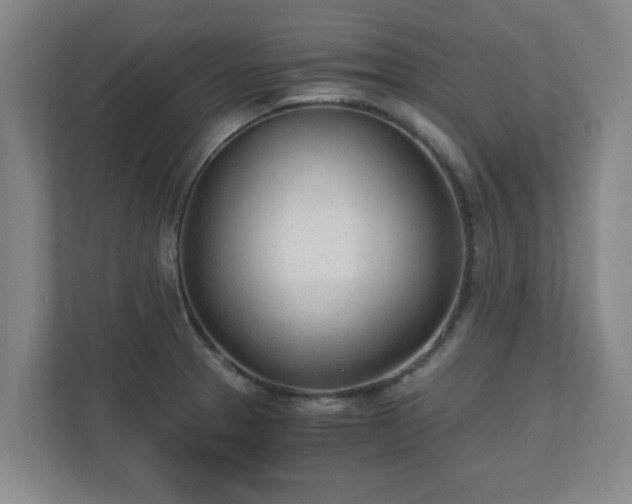 X0000110671329200906191337