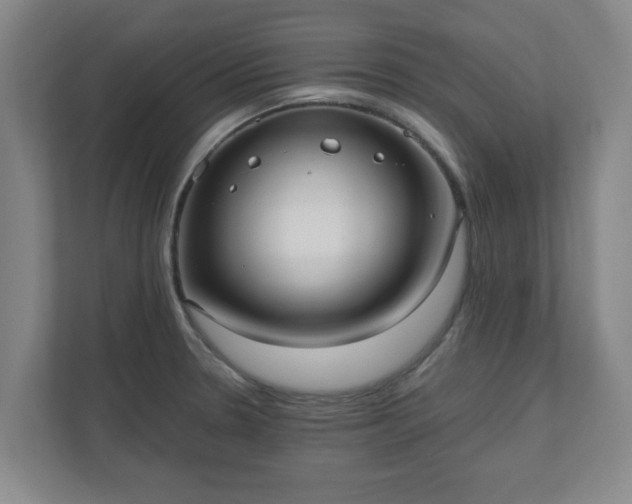 X0000110671330200906191337