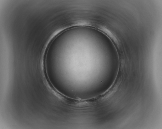 X0000110671331200906191337