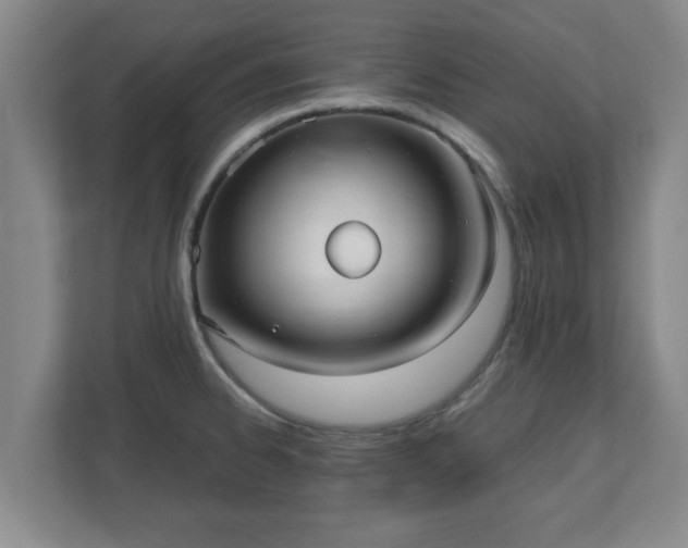 X0000110671334200906191337