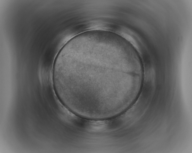 X0000110671338200906191337