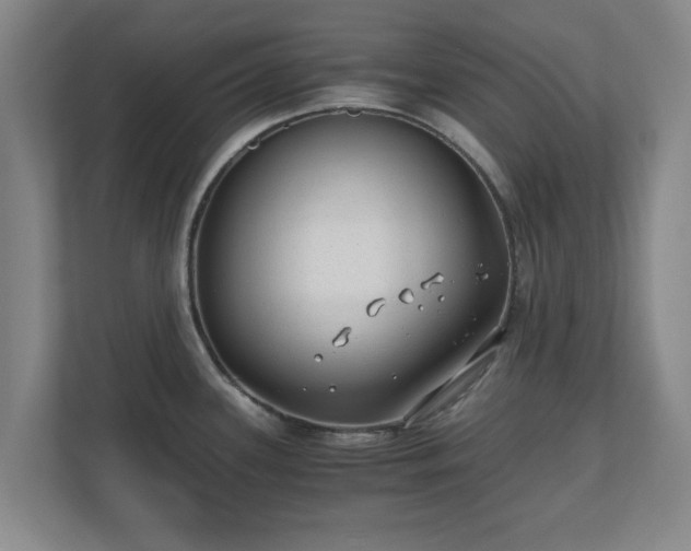 X0000110671339200906191337