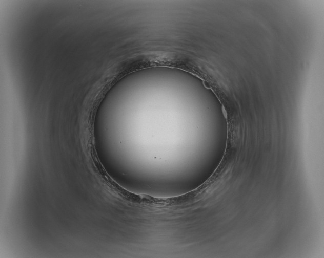 X0000110671345200906191337