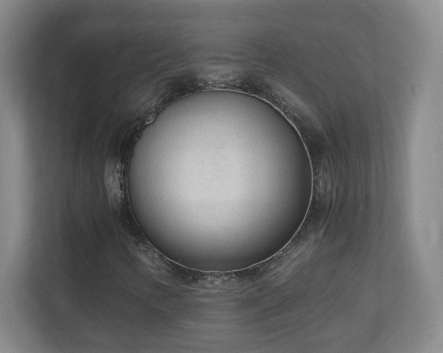 X0000110671346200906191337