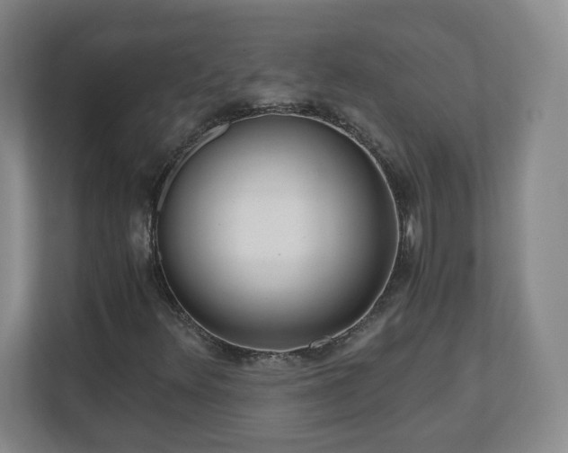 X0000110671348200906191337
