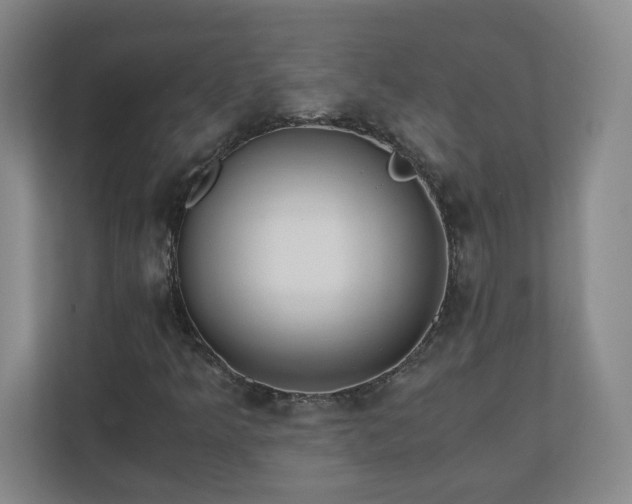X0000110671349200906191337
