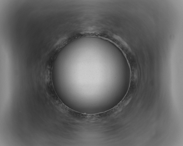 X0000110671350200906191337