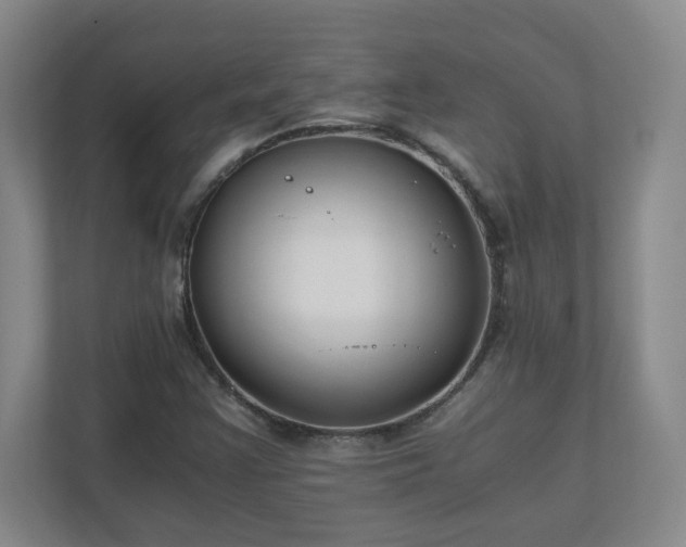 X0000110671355200906191337