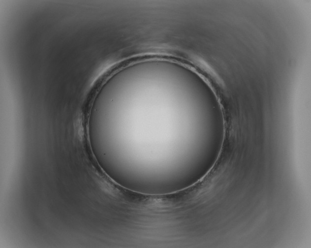 X0000110671360200906191337