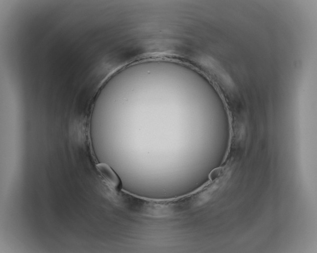 X0000110671361200906191337