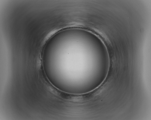 X0000110671363200906191337