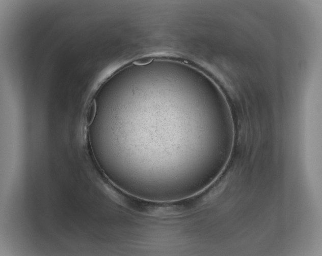X0000110671367200906191336
