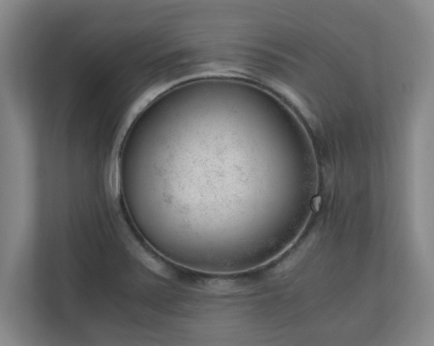 X0000110671371200906191336