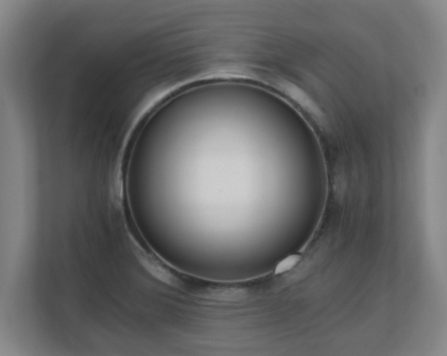 X0000110671372200906191336
