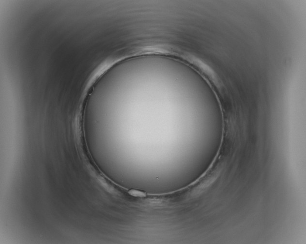 X0000110671373200906191336