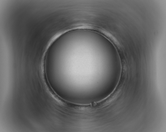 X0000110671375200906191336
