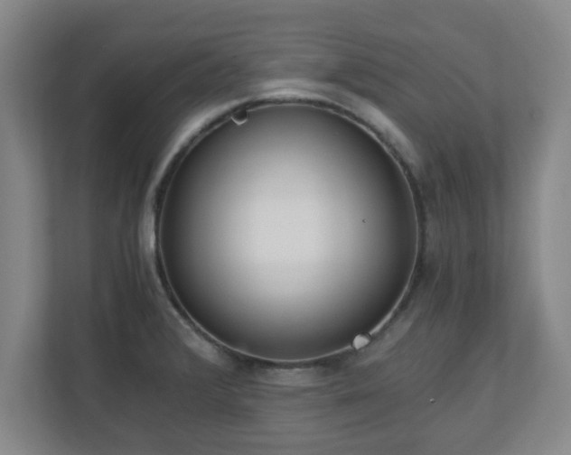 X0000110671376200906191336