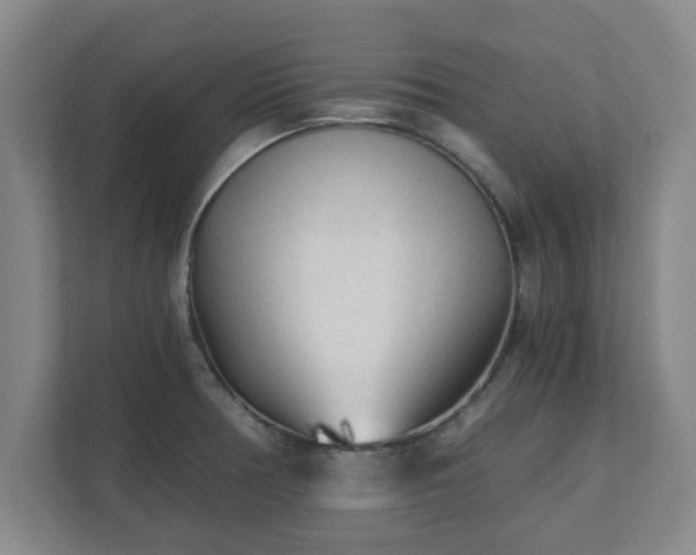 X0000110671378200906191336