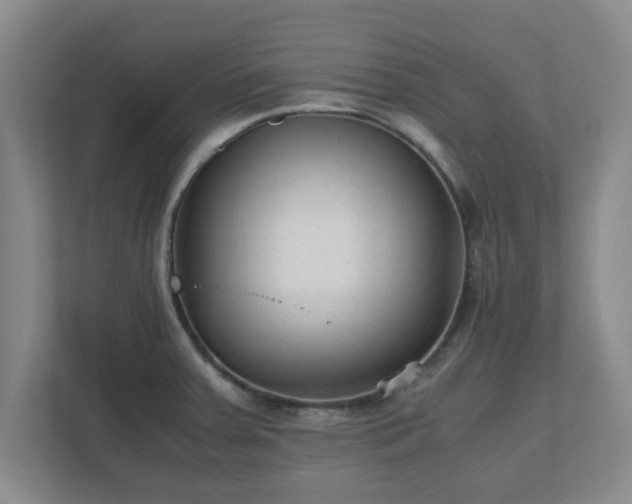 X0000110671379200906191336