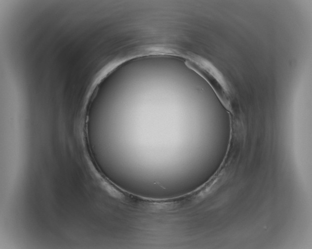 X0000110671381200906191336