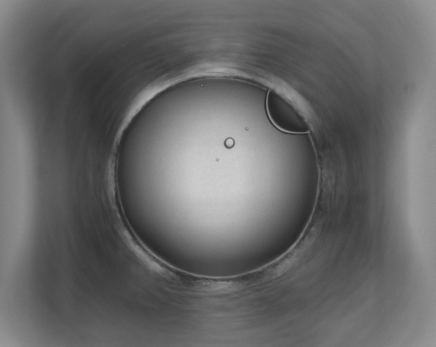 X0000110671382200906191336