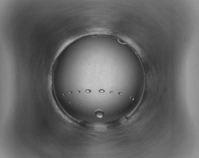 X0000110671383200906191336