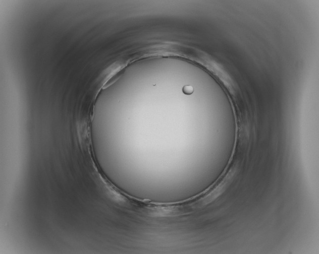 X0000110671385200906191336