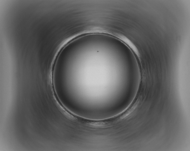 X0000110671388200906191336