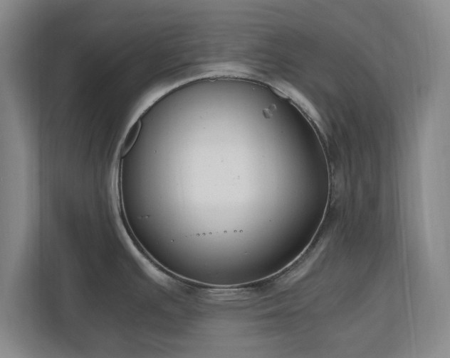 X0000110671391200906191336