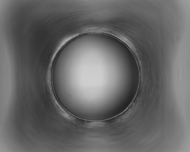 X0000110671392200906191336