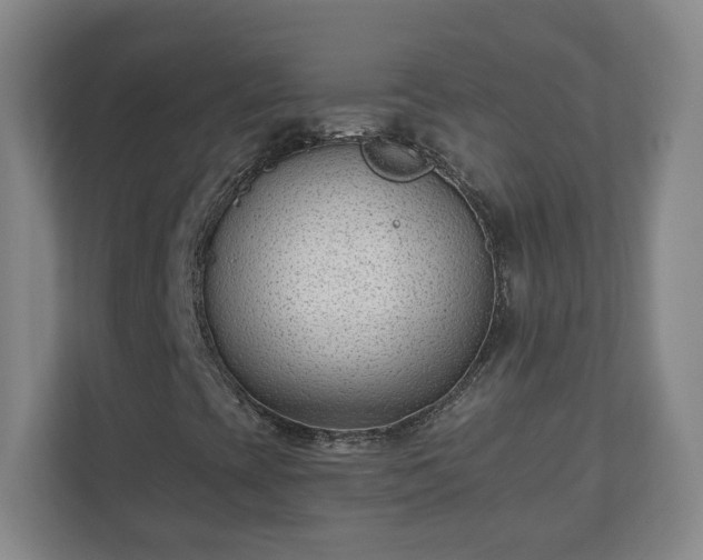 X0000110671393200906191336