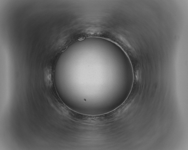 X0000110671396200906191336
