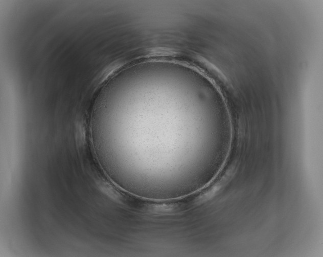 X0000110671401200906191336