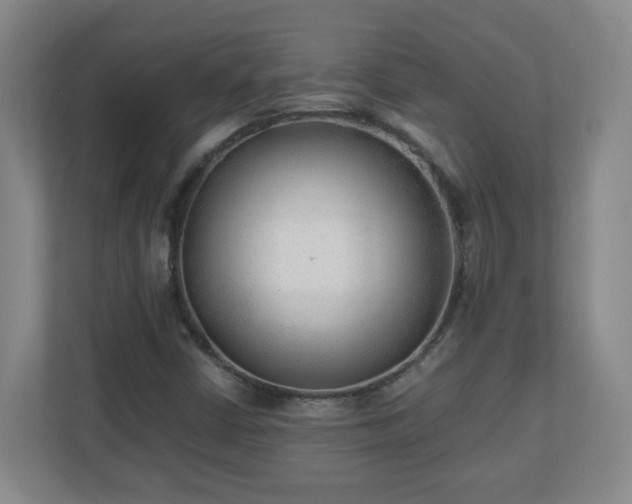 X0000110671402200906191336