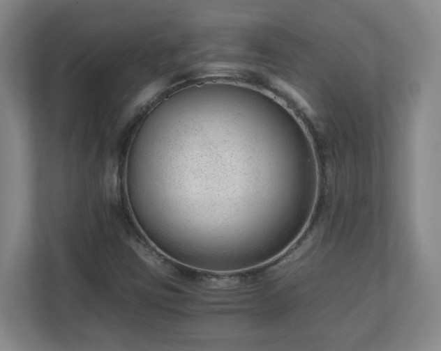 X0000110671403200906191336