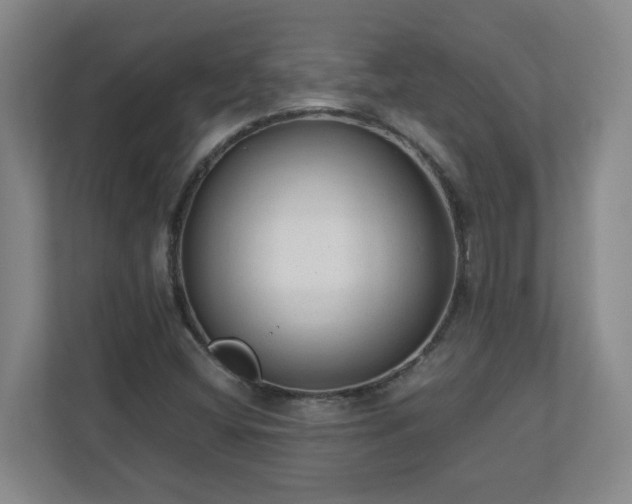 X0000110671404200906191336